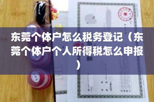 东莞个体户怎么税务登记（东莞个体户个人所得税怎么申报）