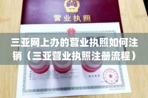 三亚网上办的营业执照如何注销（三亚营业执照注册流程）