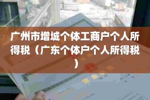 广州市增城个体工商户个人所得税（广东个体户个人所得税）