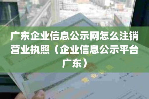 广东企业信息公示网怎么注销营业执照（企业信息公示平台广东）