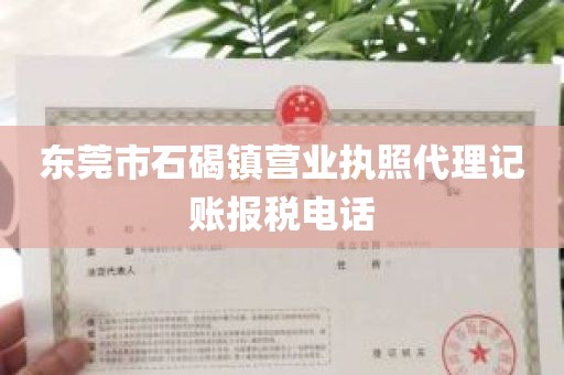 东莞市石碣镇营业执照代理记账报税电话