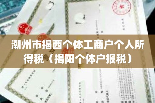 潮州市揭西个体工商户个人所得税（揭阳个体户报税）