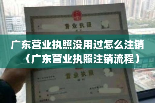 广东营业执照没用过怎么注销（广东营业执照注销流程）