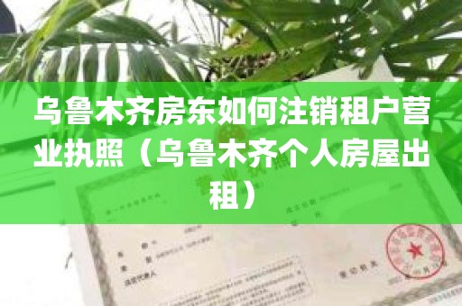 乌鲁木齐房东如何注销租户营业执照（乌鲁木齐个人房屋出租）