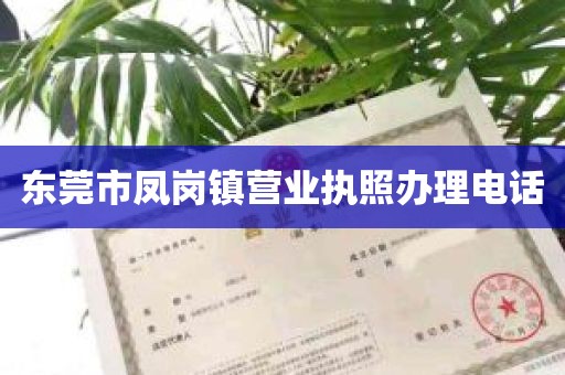 东莞市凤岗镇营业执照办理电话