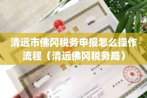 清远市佛冈税务申报怎么操作流程（清远佛冈税务局）
