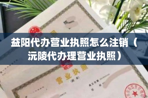 益阳代办营业执照怎么注销（沅陵代办理营业执照）