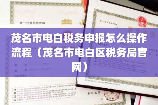 茂名市电白税务申报怎么操作流程（茂名市电白区税务局官网）