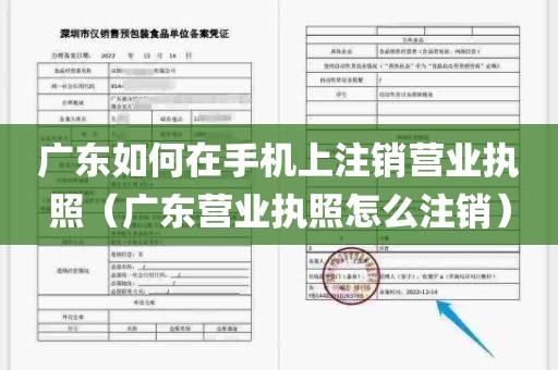 广东如何在手机上注销营业执照（广东营业执照怎么注销）