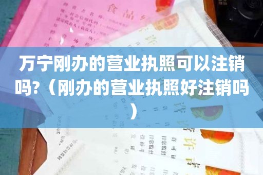 万宁刚办的营业执照可以注销吗?（刚办的营业执照好注销吗）