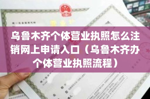 乌鲁木齐个体营业执照怎么注销网上申请入口（乌鲁木齐办个体营业执照流程）