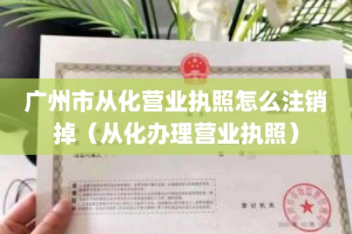 广州市从化营业执照怎么注销掉（从化办理营业执照）