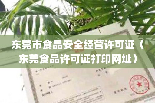 东莞市食品安全经营许可证（东莞食品许可证打印网址）
