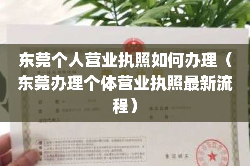 东莞个人营业执照如何办理（东莞办理个体营业执照最新流程）