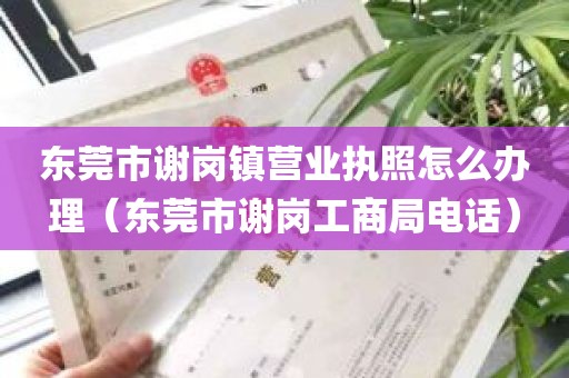 东莞市谢岗镇营业执照怎么办理（东莞市谢岗工商局电话）