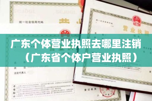 广东个体营业执照去哪里注销（广东省个体户营业执照）