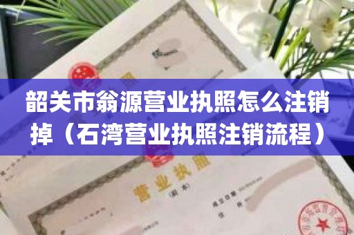 韶关市翁源营业执照怎么注销掉（石湾营业执照注销流程）