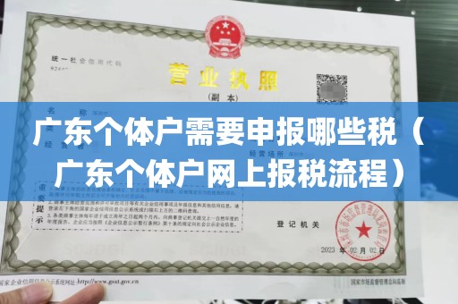 广东个体户需要申报哪些税（广东个体户网上报税流程）