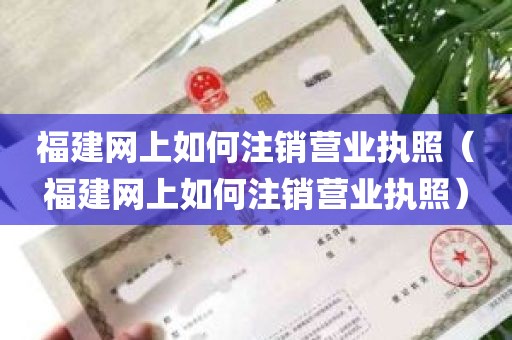 福建网上如何注销营业执照（福建网上如何注销营业执照）