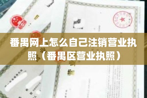 番禺网上怎么自己注销营业执照（番禺区营业执照）