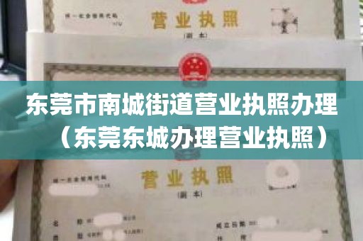 东莞市南城街道营业执照办理（东莞东城办理营业执照）