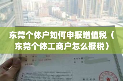 东莞个体户如何申报增值税（东莞个体工商户怎么报税）
