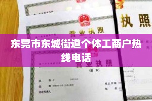 东莞市东城街道个体工商户热线电话