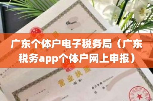广东个体户电子税务局（广东税务app个体户网上申报）