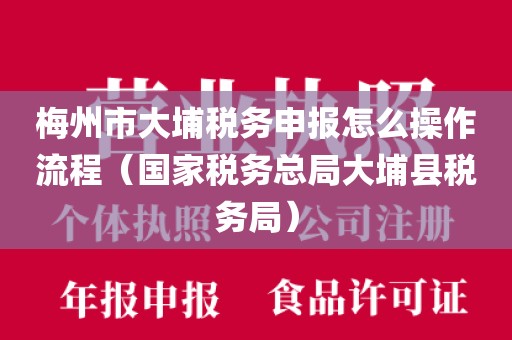 梅州市大埔税务申报怎么操作流程（国家税务总局大埔县税务局）