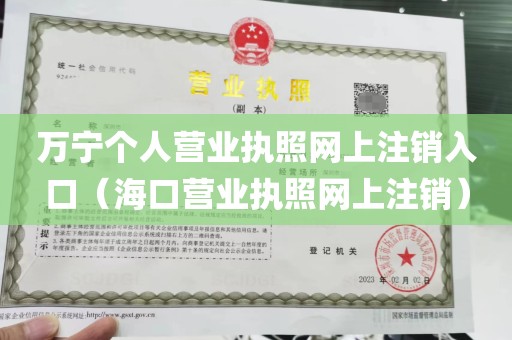 万宁个人营业执照网上注销入口（海口营业执照网上注销）