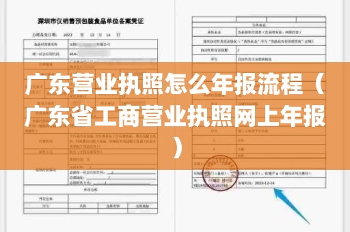广东营业执照怎么年报流程（广东省工商营业执照网上年报）