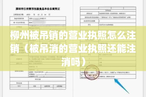 柳州被吊销的营业执照怎么注销（被吊消的营业执照还能注消吗）