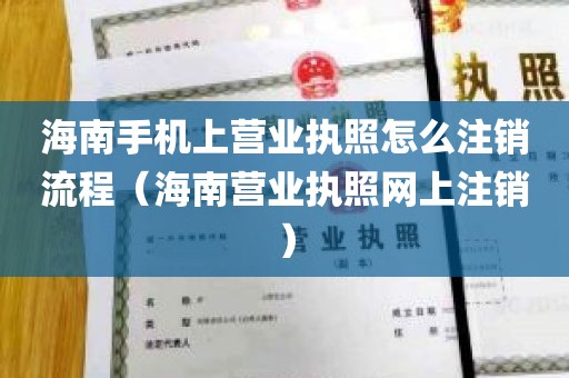 海南手机上营业执照怎么注销流程（海南营业执照网上注销）