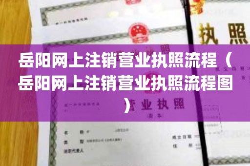 岳阳网上注销营业执照流程（岳阳网上注销营业执照流程图）