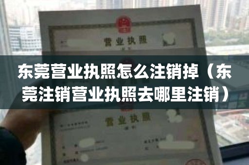东莞营业执照怎么注销掉（东莞注销营业执照去哪里注销）