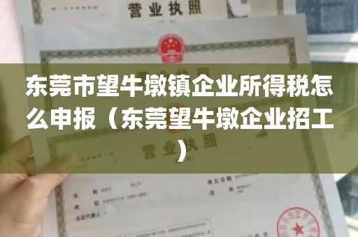 东莞市望牛墩镇企业所得税怎么申报（东莞望牛墩企业招工）