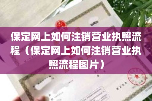 保定网上如何注销营业执照流程（保定网上如何注销营业执照流程图片）