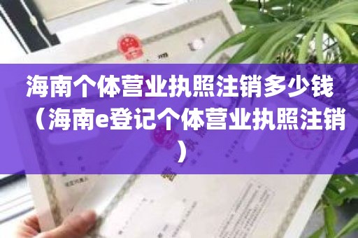 海南个体营业执照注销多少钱（海南e登记个体营业执照注销）