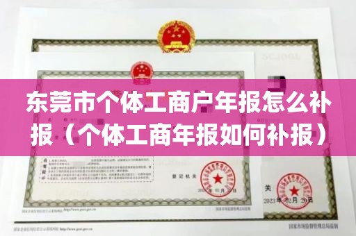 东莞市个体工商户年报怎么补报（个体工商年报如何补报）
