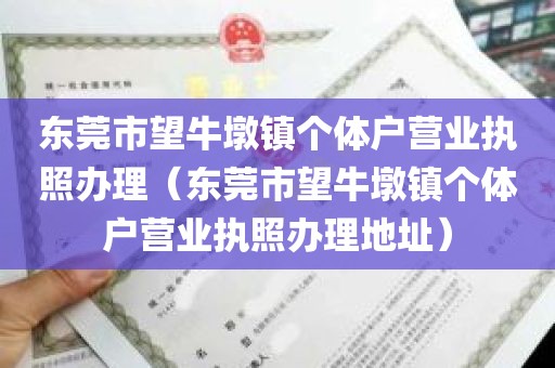 东莞市望牛墩镇个体户营业执照办理（东莞市望牛墩镇个体户营业执照办理地址）