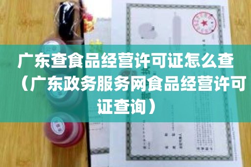 广东查食品经营许可证怎么查（广东政务服务网食品经营许可证查询）