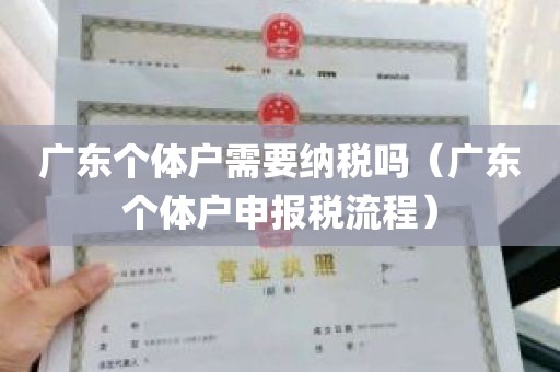 广东个体户需要纳税吗（广东个体户申报税流程）