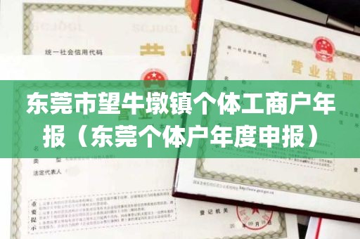 东莞市望牛墩镇个体工商户年报（东莞个体户年度申报）