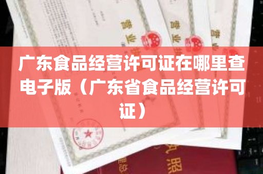 广东食品经营许可证在哪里查电子版（广东省食品经营许可证）