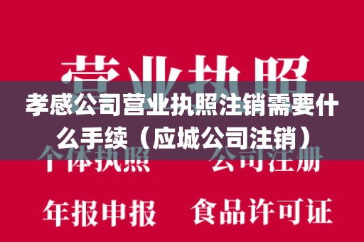 孝感公司营业执照注销需要什么手续（应城公司注销）