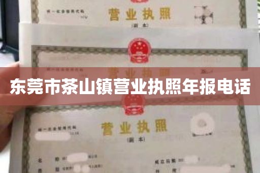 东莞市茶山镇营业执照年报电话