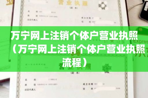 万宁网上注销个体户营业执照（万宁网上注销个体户营业执照流程）