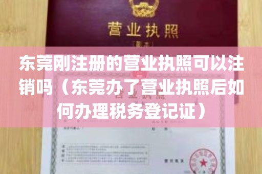 东莞刚注册的营业执照可以注销吗（东莞办了营业执照后如何办理税务登记证）