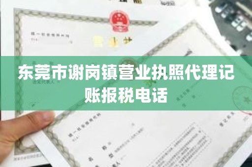 东莞市谢岗镇营业执照代理记账报税电话