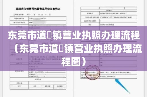 东莞市道滘镇营业执照办理流程（东莞市道滘镇营业执照办理流程图）